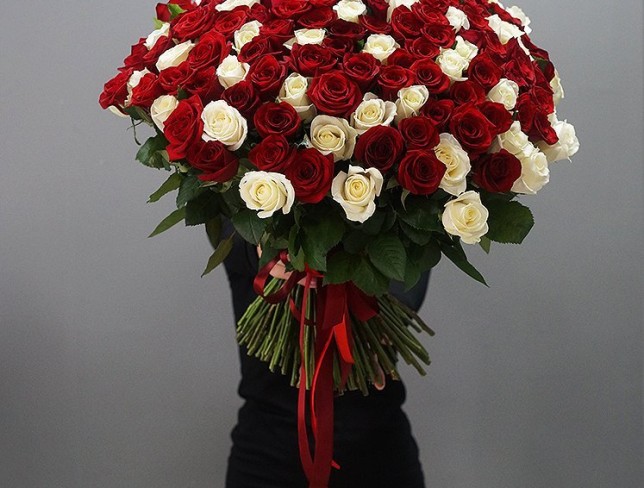 151 Trandafiri olandezi albi si rosii 50-60 cm foto